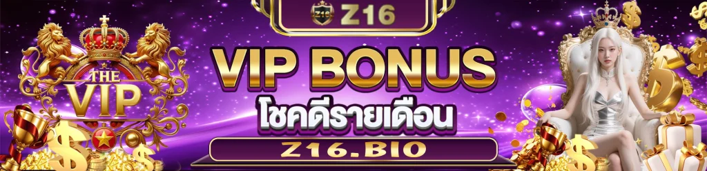z16 ทางเข้า